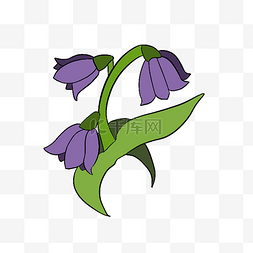 紫色花朵花枝插画