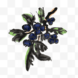 蓝莓蓝莓树