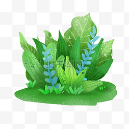 水彩装饰植物图片_夏季绿色水彩植物png免抠图