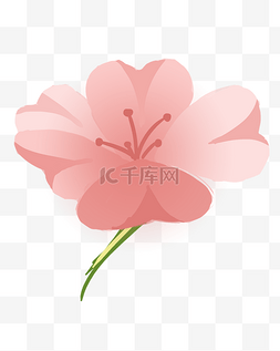 卡通粉色花枝图片_漂亮的粉色花朵插画