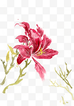水彩画红色的花卉