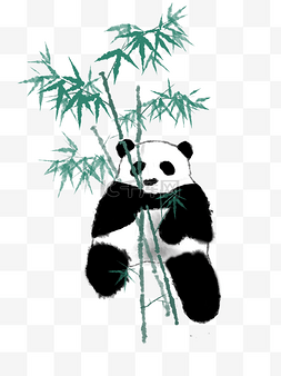 熊猫吃竹子图片_可爱大熊猫