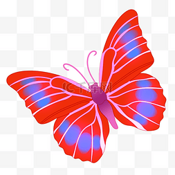 红色动物蝴蝶插画