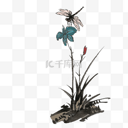 水墨蜻蜓手绘插画