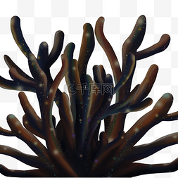 海底海洋植物图片_海底植物