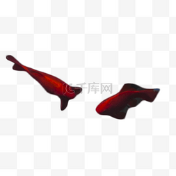典雅时尚红色小鱼