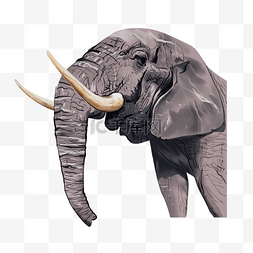 大象鼻子象牙