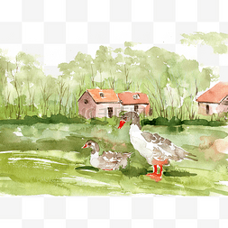 房子意境图片_荷塘边的鸭子