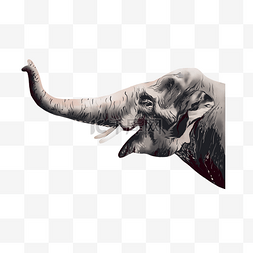 大象鼻子