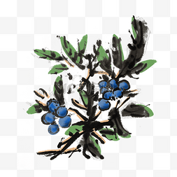 水墨蓝莓树图片_新鲜水果蓝莓手绘插画