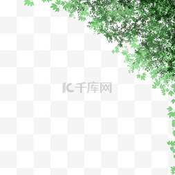 绿色树叶边角装饰图片_绿色树叶边角装饰