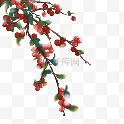 冬季光感积雪的红浆果枝