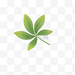 手绘植物叶片图片_绿色植物叶子手绘棕榈叶子透明底