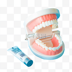 爱牙日口腔护理牙膏牙齿模型