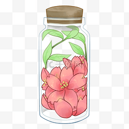 红色樱花花瓣图片_装在瓶子的樱花插画