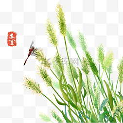 立夏蜻蜓图片_二十四节气之立夏插画