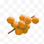 一串水果杏