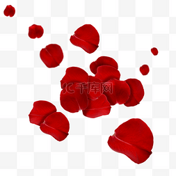 浪漫的玫瑰花瓣图片_飘落的红色玫瑰花瓣