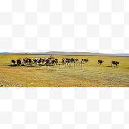 草原奶牛图片_内蒙古草原牧民放牧