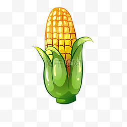 挂着的一串玉米图片_玉米卡通