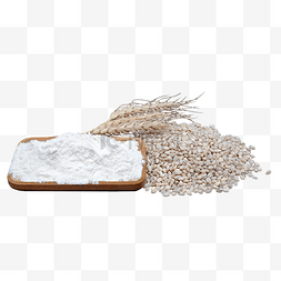 面粉粉末小麦麦子