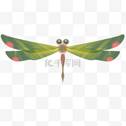 绿色蜻蜓图片_绿色翅膀蜻蜓