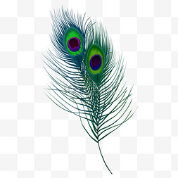 羽毛组成的鸟图片_绿色孔雀羽毛