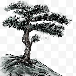 白牡丹国画图片_山上的松树