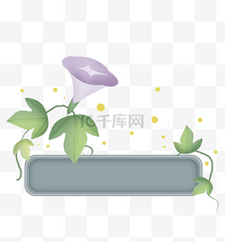 紫色牵牛花花图片_紫色牵牛花文字框