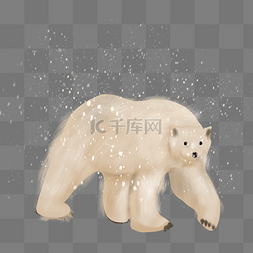 动物南极图片_北极南极白熊