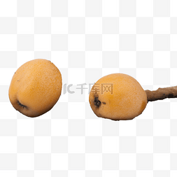 清甜柚子图片_新鲜应季的枇杷果