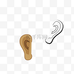 3d器官动态图图片_ 五官耳朵