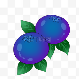 新鲜多汁水果蓝莓