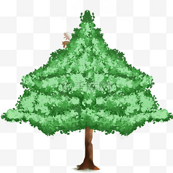 卡通一颗大树图片_一颗绿色的大树