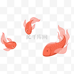 卡通的鱼红色图片_一堆红色的小金鱼