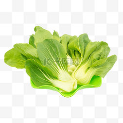 小油菜绿色蔬菜