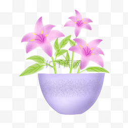 紫色花盆栽png图片_紫色花朵盆栽 