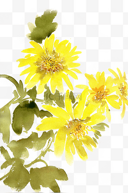 黄色的向日葵