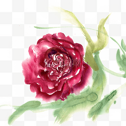 水墨画鲜艳的玫瑰花