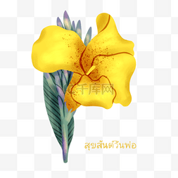 手绘彩色花束图片_手绘泰国父亲节黄色美人蕉元素