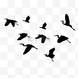 飞行的鸟剪影插图