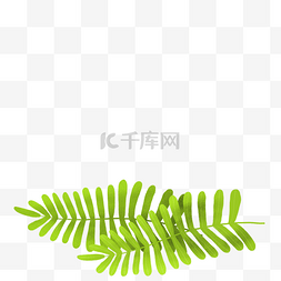 绿色的植物免抠图