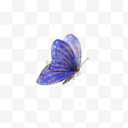水彩风格的蓝色蝴蝶PNG素材