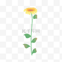 向日葵免扣PNG图图片_植物花卉向日葵