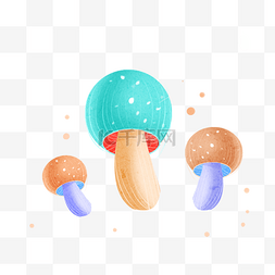 蘑菇蘑菇图片_菌类套餐3
