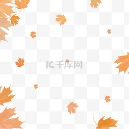 秋天黄色树叶图片图片_漂浮的落叶