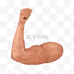 有肌肉的手臂图片_有肌肉的手臂