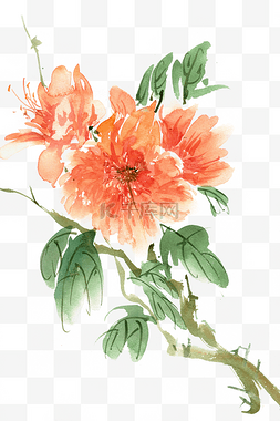 花朵橙色图片_橙色的石榴花