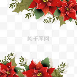 christmas poinsettia一品红花朵边框