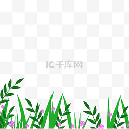 真实的绿色小草图片_夏天的小草小花